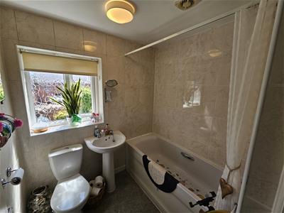 Picture 7